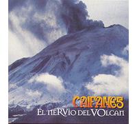 Nervio del Volcan