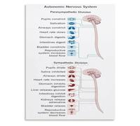 Nervous System Hack Chart Educational Infographic for Optimal Performance Under Stress Canvas Wall Art for Executive Office(Framed,16x24inch(40x60cm))