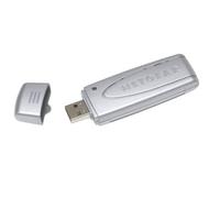 Netgear WG111 - Accesorio de Red (Inalámbrico, USB, 54 Mbit/s, 2.412-2.462 GHz, Plata, 128-bit WEP, WPA-PSK, WPA2-PSK)