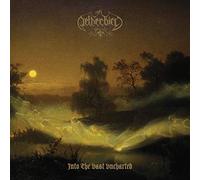 Netherbird - Into the vast uncharted