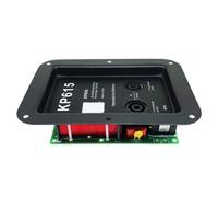 Nettoppo Divisor de audio de 2 vías, módulo divisor de frecuencias cruzadas de alta fidelidad, placa de distribución de filtro de alta fidelidad para altavoces, duradero, fácil de usar