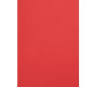 Netuno 10 hojas de cárton de colores rojo A4 210x297 mm 300g Malmero Vermillon cartulina imprimible papel grueso para manualidades tarjetas álbumes folletos invitaciones Navidad cajas menús escuela