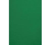 Netuno 10 hojas de cárton de colores verde oscuro A4 210x297 mm 300g Malmero Amazone cartulina imprimible papel grueso para manualidades tarjetas álbumes folletos invitaciones Navidad cajas menús