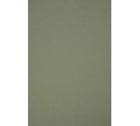 Netuno 10 hojas de cárton oliva A4 210x297 mm 250g Materica Verdigris papel reciclado ecológico doble cara para manualidades tarjetas invitaciones boda scrapbooking cubiertas de libros cajas tarjetas