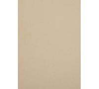 Netuno 10 hojas de cartulina creativa beige claro A4 210 x 297 mm 250 g Crush Grape papel natural doble cara cartón para imprimir scrapbooking invitaciones tarjetas de felicitación bodas folletos