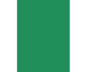 Netuno 10 hojas de cartulina de color verde A3 297 x 420 mm 160g Aster Color Kelly Green papel coloreado para scrapbooking invitaciones bodas tarjetas de felicitación folleto manualidades vales menú