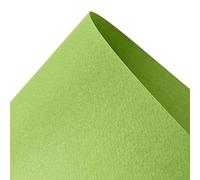 Netuno 10 hojas de cartulina texturizada verde pistacho A5 148 x 210 mm 220 g Prisma Pistacchio una cara estructurada papel artístico para tarjetas de felicitación invitaciones bodas Navidad acuarelas