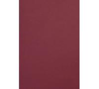 Netuno 100 hojas de cartulina burdeos A4 210x297 mm 300g Malmero Palissandre papel grueso para manualidades escolares decoraciones