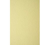 Netuno 100 hojas de cartulina crema texturizada A4 210x297 mm 220g Prisma Camoisio una cara estructurada papel artístico manualidades tarjetas invitaciones decoraciones álbumes proyectos creativos