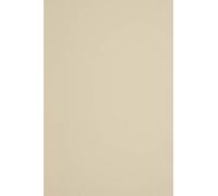 Netuno 100 hojas de cartulina gruesa Woodstock Betulla crudo A4 210 x 297 mm 285 g/m² papel reciclado sostenible para invitaciones tarjetas manualidades y decoración vintage