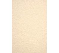 Netuno 100 Hojas de cartulina marmolada Color Beige Aster Laguna Light Brown A4 210 x 297 mm 180 g/m² Papel Efecto mármol para Diplomas certificados Invitaciones y Manualidades