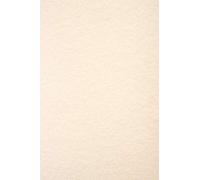 Netuno 100 hojas de cartulina marmolada color beige claro Aster Laguna Sand A4 210 x 297 mm 180 g/m² papel efecto mármol para diplomas certificados invitaciones y manualidades
