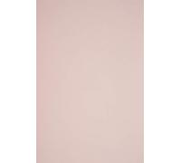 Netuno 100 hojas de papel color rosa pálido A4 210 x 297 mm 115 g Sirio Color Nude doble cara para impresión scrapbooking invitaciones bodas tarjetas de felicitación manualidades Navidad folletos