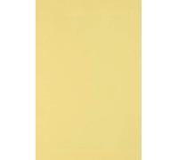 Netuno 100x cartón color amarillo claro DIN A4 210x297mm 250g Burano Giallo papel doble cara cartulina para impresora laser inkjet scrapbooking invitaciones boda manualidades tarjeta bricolaje cartas