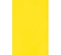 Netuno 100x cartón color amarillo DIN A4 210x297mm 250g Burano Giallo Zolfo papel doble cara cartulina para impresora laser inkjet scrapbooking invitaciones boda manualidades tarjeta bricolaje cartas