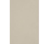 Netuno 100x cartón color gris claro DIN A4 210x297mm 250g Burano Grigio papel doble cara cartulina para impresora laser inkjet scrapbooking invitaciones boda manualidades tarjeta bricolaje carta menu