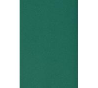 Netuno 100x cartón color verde oscuro DIN A4 210x297mm 250g Burano English Green papel doble cara cartulina para impresora inkjet scrapbooking invitaciones boda manualidades tarjeta bricolaje Navidad