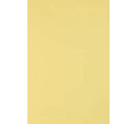 Netuno 10x cartón color amarillo claro DIN A3 297x420mm 250g Burano Giallo papel doble cara cartulina para impresora laser inkjet scrapbooking invitaciones boda manualidades tarjetas bricolaje cartas