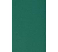 Netuno 10x cartón color verde oscuro DIN SRA3 320x450mm 250g Burano English Green papel doble cara cartulina para impresora inkjet scrapbooking invitaciones manualidades tarjetas bricolaje Navidad