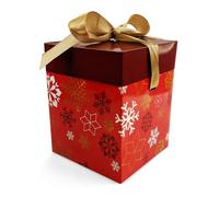 Netuno 1x caja de regalo de color rojo pequeña 12 cm x 12 cm x 15 cm caja con tapa y lazo para niños caja de cartón