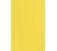 Netuno 20 hojas de cartón color amarillo A4 210 x 297 mm 170 g Sirio Color Limone papel de doble cara para impresión scrapbooking invitaciones tarjetas de felicitación manualidades origami folletos