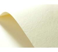 Netuno 20 hojas de cartón texturizado crema con relieve en cuero A4 210 x 297 mm 246 g Elfenbens Chamois cartulina unilateral para impresoras tarjetas diplomas invitaciones certificados menús boda