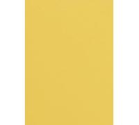 Netuno 20 hojas de cartulina amarillo A4 210x297 mm 300g Malmero Soleil papel grueso para manualidades escolares decoraciones álbumes