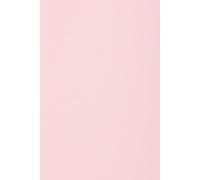 Netuno 20 hojas de cartulina color rosa claro A4 210 x 297 mm 230 g Rainbow papel imprimible para impresión scrapbooking invitaciones bodas tarjetas de felicitación manualidades folletos vales menú