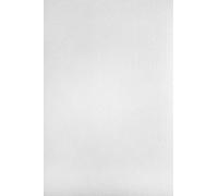 Netuno 20 hojas de cartulina verjurada color blanco A4 210x297 mm 220g Aster Laid White papel de calidad con textura para invitaciones portadas certificados documentos creativos