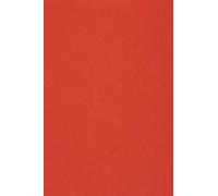 Netuno 20x cartón color rojo DIN A4 210x297mm 250g Burano Rosso Scarlatto papel doble cara cartulina para impresora inkjet scrapbooking invitaciones boda manualidades tarjetas bricolaje cartas menú