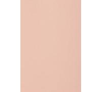 Netuno 20x cartón color rosa DIN A4 210x297mm 250g Burano Rosa papel doble cara cartulina para impresora laser inkjet scrapbooking invitaciones boda manualidades tarjetas bricolaje cartas menu fiesta