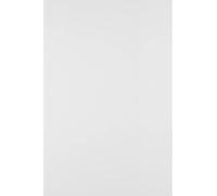 Netuno 25 hojas de cartón Bristol blanco DIN B2, 50 x 70 cm, 250 g, cartón fotográfico, cartón para colorear, cartón para dibujo, cartón para manualidades, color blanco, estable, para carteles