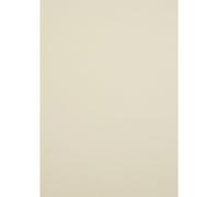 Netuno 50 hojas de cartulina creativa crema A4 210 x 297 mm 250 g Crush Citrus papel natural doble cara cartón para imprimir scrapbooking invitaciones tarjetas de felicitación boda folletos menú