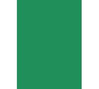 Netuno 50 hojas de cartulina de color verde A5 148 x 210 mm 160g Aster Color Kelly Green papel coloreado para scrapbooking invitaciones bodas tarjetas de felicitación folleto manualidades vales menú