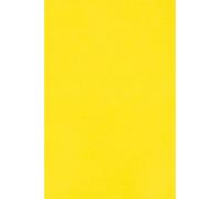 Netuno 50x cartón color amarillo DIN A3 297x420mm 250g Burano Giallo Zolfo papel doble cara cartulina para impresora laser inkjet scrapbooking invitaciones boda manualidades tarjetas bricolaje cartas