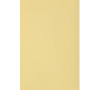 Netuno 50x cartón color cremoso DIN SRA3 320x450mm 250g Burano Camoscio papel doble cara cartulina para impresora laser inkjet scrapbooking invitaciones boda manualidades tarjeta bricolaje carta menu