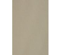 Netuno 50x cartón color gris DIN A3 297x420mm 250g Burano Pietra papel doble cara cartulina para impresora láser inkjet scrapbooking invitaciones boda manualidades tarjetas bricolaje cartas menú