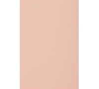 Netuno 50x cartón color rosa DIN A5 148,5x210mm 250g Burano Rosa papel doble cara cartulina para impresora laser inkjet scrapbooking invitaciones boda manualidades tarjeta bricolaje carta menu fiesta