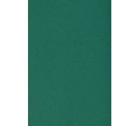 Netuno 50x cartón color verde oscuro DIN A3 297x420mm 250g Burano English Green papel doble cara cartulina para impresora inkjet scrapbooking invitaciones boda manualidades tarjetas bricolaje Navidad
