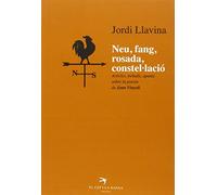 Neu, fang, rosada, constel·lació. Un vol de l'alta poesia sobre la mirada de dos poetes sobre la vida i la mort: Articles, treballs, apunts sobre la poesia de Joan Vinyoli: 9 (sèrie Desabafo)