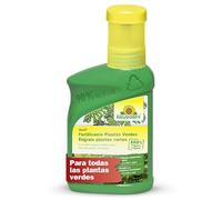 Neudorff Azet Fertilizante Plantas Verdes - Abono líquido 100% vegano con hierro para un verde intenso y plantas resistentes - Para plantas verdes de interior, 250 ml para 50 L