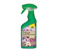 Neudorff - biokraft Vital Spa para Orquídeas AF - 500 ml
