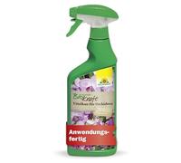 Neudorff BioKraft Vitalkur para orquídeas AF - Spray listo para usar revitaliza las orquídeas debilitadas y favorece la formación de flores, 500 ml