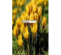 Neue Weltordnung - 2024 Feber (ebook)
