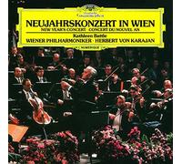 Neujahrskonzert in Wien
