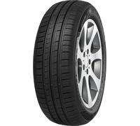 Minerva F 209 205/60R16 92V