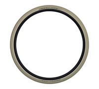 Neumático de ciudad para bicicleta híbrida 700 x 38 (29 x 1,50) Schwalbe Big B