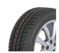 205/55 R16 91T Neumáticos de Invierno DEBICA Frigo 2 Auto