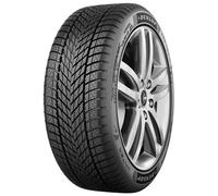 Dunlop Winter 195/65R15 91T 3PMSF M+S