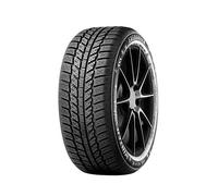 Neumáticos de Invierno Evergreen 175/65 R14 82H EW62 XL M+S